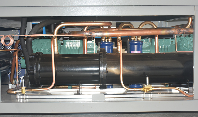 1675826704685201.jpg DSC_1505.JPG